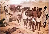 Le commerce d'esclaves conna�t un essor important au_____si�cle avec la traite atlantique. La travers�e est organis�e par des armateurs europ�ens dans le cadre du commerce triangulaire. Environ 6, 5 millions d'esclaves sont ainsi d�port�s d'Afrique pour satisfaire les besoins de main-d'oeuvre des colonies am�ricaines.