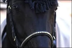 Qui est le pre de Jappeloup ?