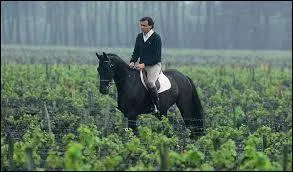 Quel est son croisement de races ?