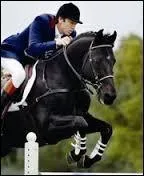 Lors de quels J. O. Jappeloup fait-il tomber son cavalier ?