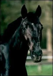 En quelle anne meurt-il ?