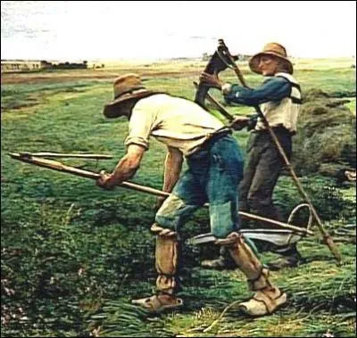 Dans notre contre, on fauchait la luzerne pour les animaux aprs l'guail. Que dsignait-on sous ce terme ?