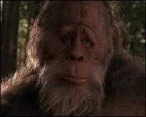 Quelle famille recueille un bigfoot dans un film de 1987 ?