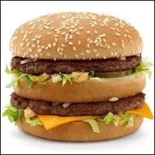 Dans quel restaurant pouvez-vous commander cet hamburger ?