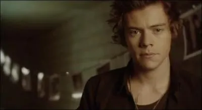 Dans lequel de leurs clips peut-on voir cette image ?