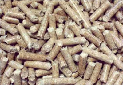 Lorsque tu nourris un cheval, dans quel ordre donnes-tu le foin et l'aliment riche ?