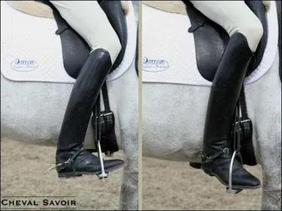 Pour prendre le galop  gauche, je recule lgrement la jambe :