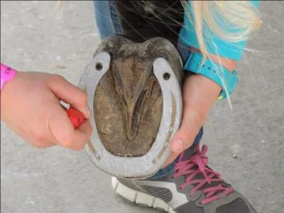 Qu'est-ce qu'un pied par ?