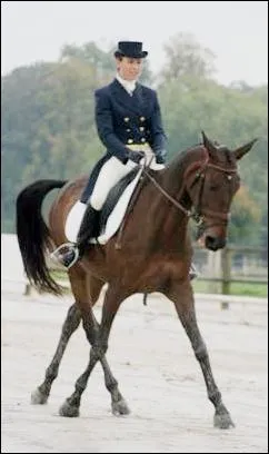 Qu'est-ce que l'assiette ?