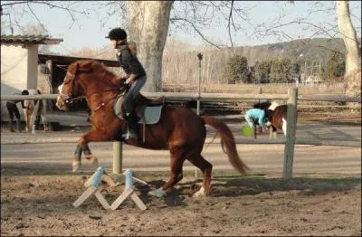 La bonne phase du saut est :