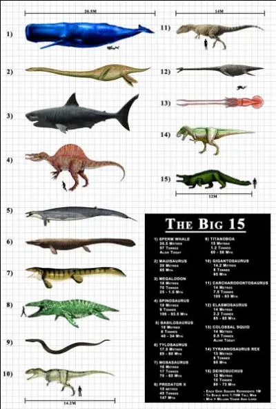 Et quelle tait sa taille ?