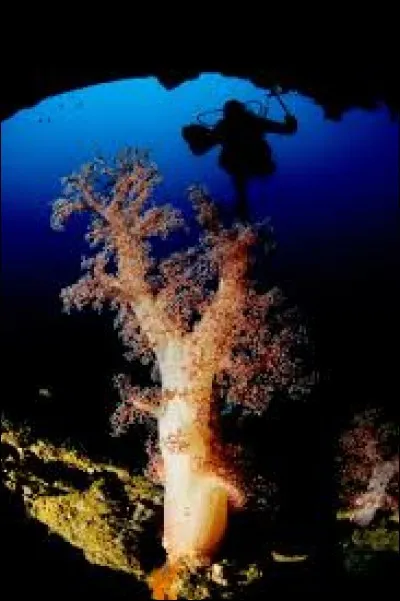 Quelle est la capitale du Soudan du Sud ?