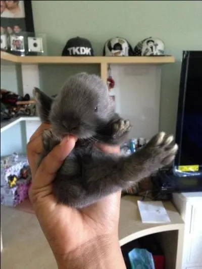 Dans la chanson de jacques Brel, finalement, Madeleine n'est jamais venue, trouvez l'expression !