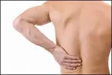 C'est un mammifre marin vivant en groupe, de la famille des ctacs. C'est bien sr un '____phin'.