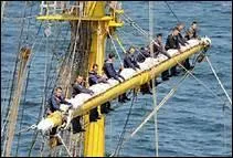 C'est un mammifre ruminant qui vit dans la Cordillre des Andes. C'est bien sr le 'la___'.