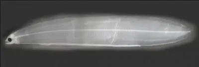 Sur la photo se trouve :