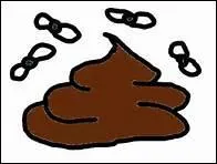 C'est un perroquet d'Asie du Sud-Est et d'Ocanie, portant une huppe, de la famille des psittacids, c'est bien sr un '____tos'.