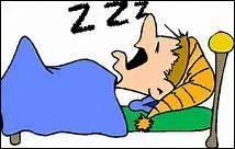 Surnomm l'oiseau-mouche, c'est oiseau passereau de la famille des trochilids, c'est bien sr un 'co__bri'.