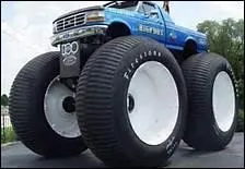 C'est mammifre australien de l'ordre des marsupiaux,  pattes postrieures trs dveloppes, c'est bien sr un 'kangou___'.