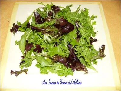 Vous n'chapperez  la salade avec :