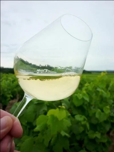 Avec un petit vin blanc de la Loire Atlantique :