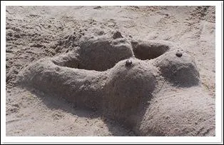 La Hollande dpnalise et lgalise la prostitution.