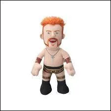 Qui est ce catcheur ?