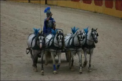 Char antique  deux roues, attel de quatre chevaux de front !