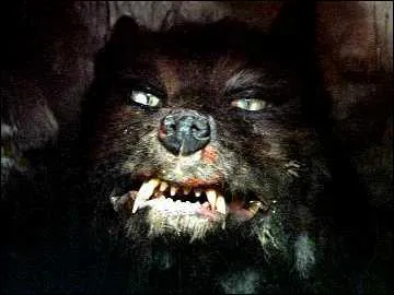 Qui est cette crature de l'ombre ?