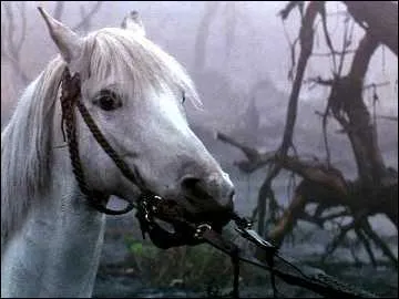 Comment s'appelle le cheval d'Atreyu ? Que lui arrive-t-il dans le premier film bien que cela soit rpar par un voeu de Bastien par la suite ?
