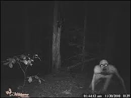 Et pour finir... Qu'est ce ?