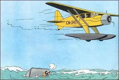 L'avion des trafiquants d'opium qui mitraille la chaloupe sur laquelle sont embarqus Tintin et le capitaine Haddock est trs probablement un  Bellanca 31-42 Pacemaker  dans :