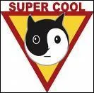 Tu as trouvé ce quiz :