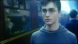 Combien de centimtres fait sa baguette ?