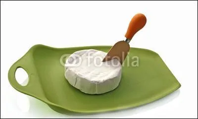 Voici un petit fromage de Franche-Comt dont le nom est celui d''un oiseau :