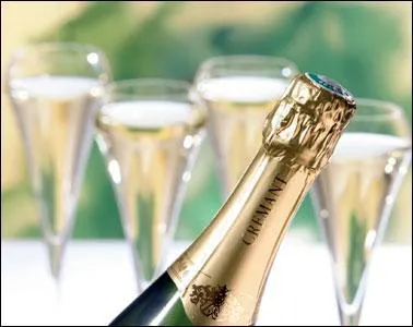 Voici l'heure de l'apritif , je vous offre une flte d'un vin ptillant AOC, produit dans la ville de Rully :