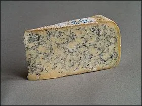 Fromage oblige ! avec un bleu de Gex issu du dpartement de :