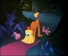 Dans quel film croise-t-on un trange  chien-balai  ?