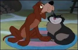 Dans quel film, Pataud, un chien de ferme paresseux, passe-t-il son temps  rver qu'il pourchasse le chat Lucifer ?