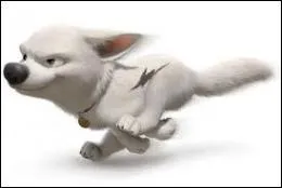 Dans quel film ce chien, dou de super pouvoirs, est-il la vedette d'une srie canine de tlvision ?