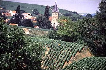 De quelle rgion franaise venaient principalement les premiers chefs de l'Ordre du Temple ?