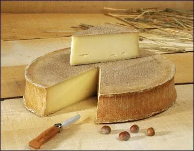 Celui-ci tient son nom de la race bovine dont son lait est issu ?