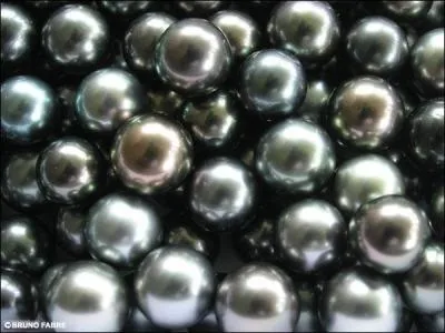 Les vraies perles noires fabriques par les hutres sont trs rares et trs chres. Que produit une hutre pour faire une perle ?