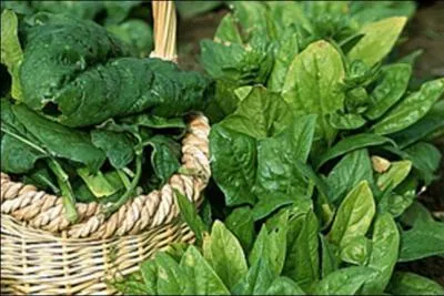 Comment appelle-t-on une recette qui contient de l'pinard ?