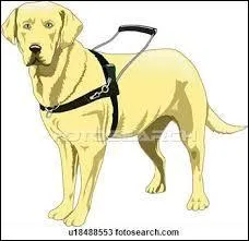 Comment guider le gaz ?