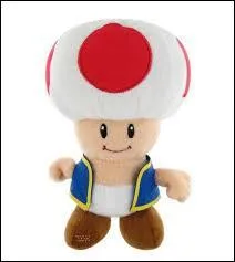 Comment s'appelle le doudou sur la photo ?