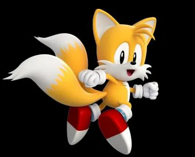 Tail possde un talent bien particulier, lequel ?