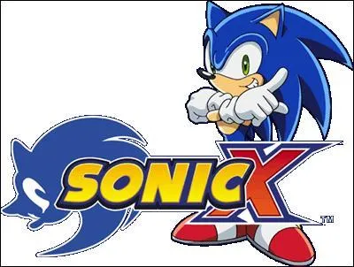 Sonic X c'est quoi ?