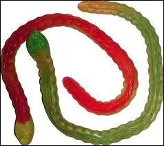 Comment s'appelle ce bonbon ?