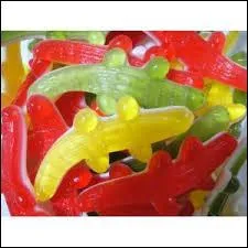 Comment s'appelle ce bonbon ?